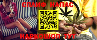 тгк Дубна